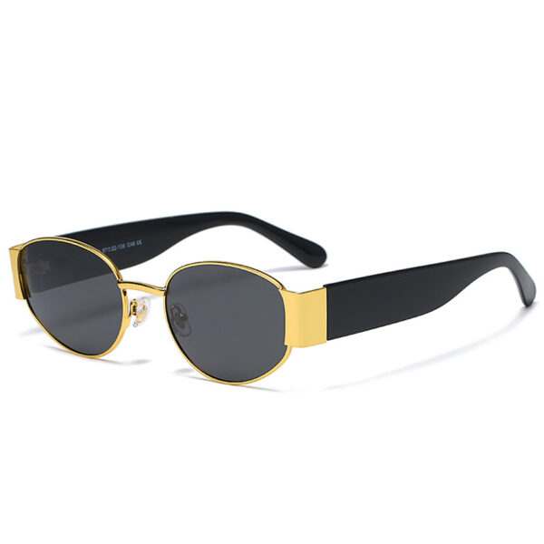 polarised Black Oval sunglasses for men with gold frame